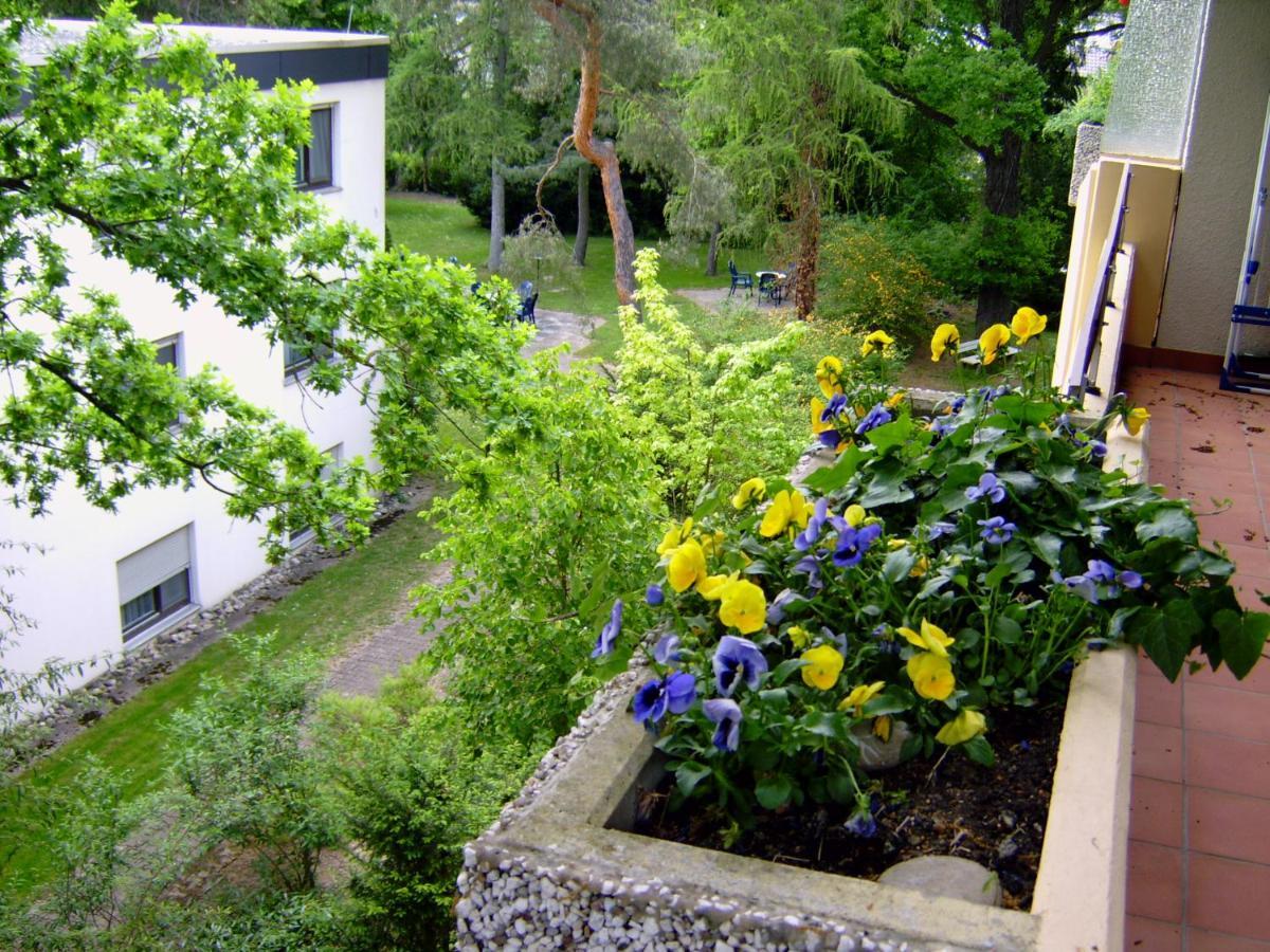 Appartementhaus Im Gruen Bad Bellingen Ngoại thất bức ảnh